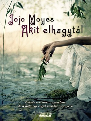 cover image of Akit elhagytál